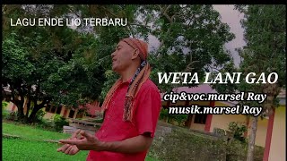 WETA LANI GAO//CIP&VOC//MARSEL RAY