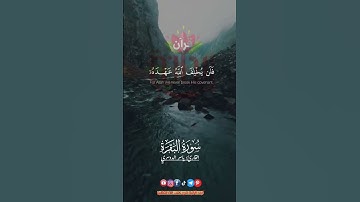 وقالوا لن تمسنا النار إلا أياماً معدودة #ياسر_الدوسري #سورة_البقرة #ريحانة_قرآن #قرآن #quran #تلاوات