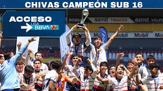 Acceso: Chivas Campeón Sub16 del Clausura 2024