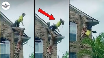 Idiots With Chainsaws: Tree Cutting Fails | Extreme Dangerous Logging Truck Fails #3