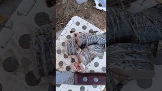 making off pescaria com a família muitas resenhas e alegria #pescaria