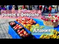 Рынок в Алании в феврале🌶🥒🥕цены на овощи-фрукты зимой/Турция 2021