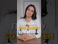 От чего зависит нормальная работа мозга сон память От чего зависит нормальная работа мозга сон память