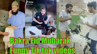 Bakra Eid Mubarak Funny Tik Tok Videos | Bakra Eid Tik Tok