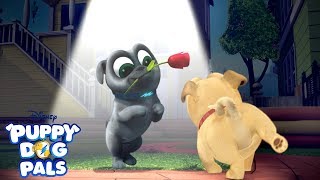 Don't Blink! | Playtime with Puppy Dog Pals | Disney Junior Don't Blink! | Playtime with Puppy Dog Pals | Disney Junior
