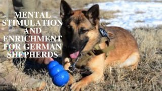 Mental Stimulation for German Shepherds by Barkercise 13,567 views 3 years ago 4 minutes, 24 seconds