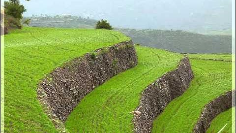 مصحف الشيخ عبدالله عواد الجهني - سورة Saba'_سبأ