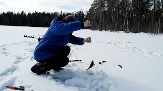 Фото ЗАКРЫТИЕ СЕЗОНА ЗИМНЕЙ РЫБАЛКИ