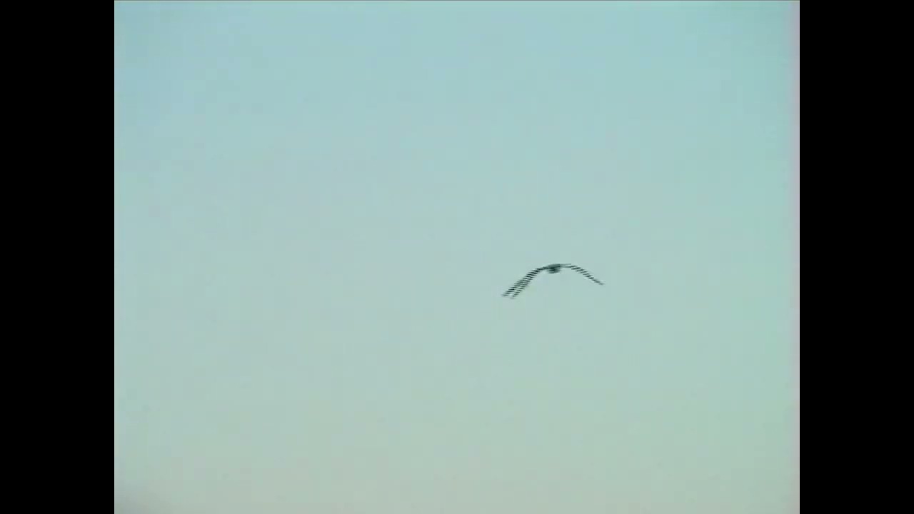 Watch MLC - Uncertain (Visualizer) on YouTube Watch MLC - Uncertain (Visualizer) on YouTube