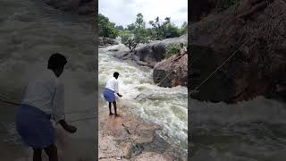 #fhising #fishcatching #shortvideo