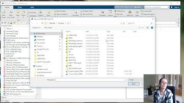 Use Matlab to look at Intan or .rhd files