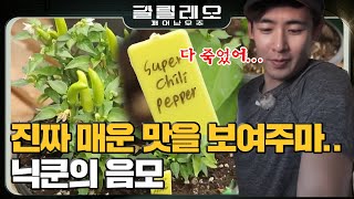 GALILEO 닉쿤은 싸eat코패스? 태국의 매운맛을 제대로 보여주마! 181119 EP.6