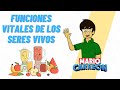 Funciones vitales de los seres vivos