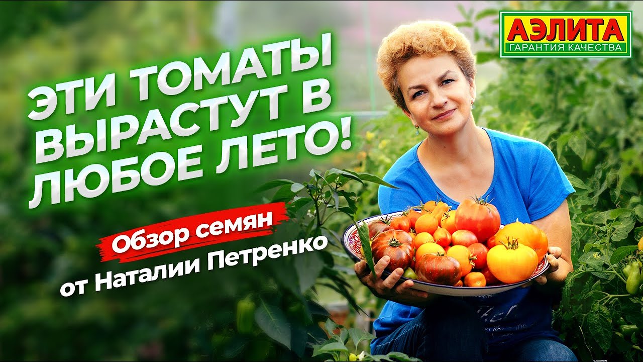 ТОП ВКУСНЫХ СОРТОВ ТОМАТОВ! Вырастут в любое лето! - YouTube