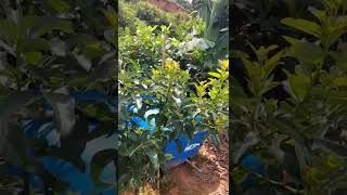 Đất Mặt Tiền Ql 55 Cần Bán