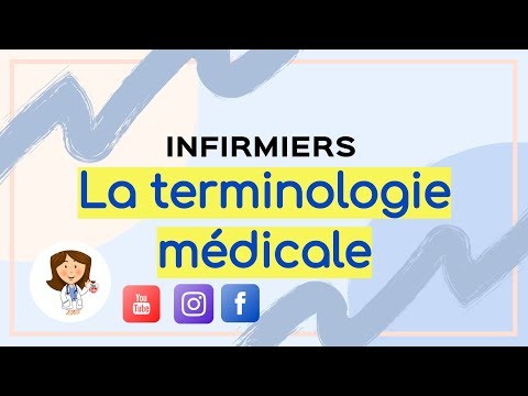 Vidéo: La terminologie peut-elle être un nom ?