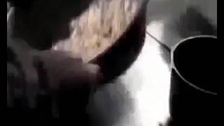 Эвтаназия животных Эвтаназия животных