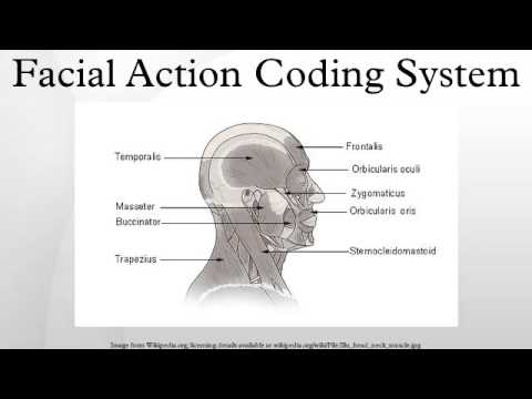 paul ekman facial action coding system mad