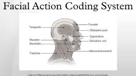 Facial Action Coding System