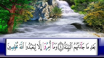 الربيع     239/الشيخ محمد جبريل /من سورة الشرح الى اخر سورة العاديات