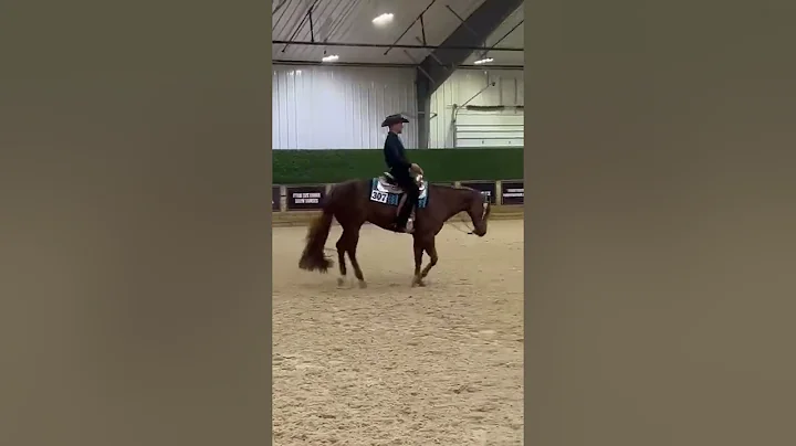 Whiskey Horsemanship