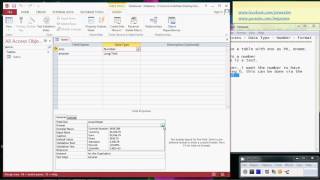 Celebrity Ms Access - Data Type - Number - Format Wealth