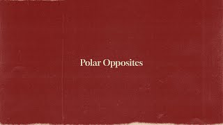 Coldiac - Polar Opposites (Visualizer Video)