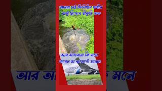 মসজিদুল-আকসা | হামাস | গাজা | ফিলিস্তিন | ইসরাইল | জেরুজালেম | motivation বাংলাদেশ sad love