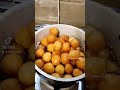 مشمش مقلي