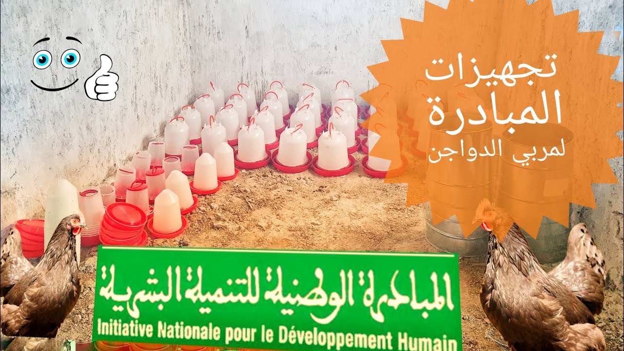 تجهيز مشروعك بمساعدة المبادرة الوطنية/شوفو تجهيزات لمستفيد في تربية الدواجن 