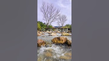 تلاوة مميزة من الذكر الحكيم #قرآن