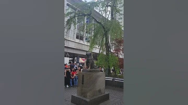 Hachiko Statue in Shibuya #shorts #hachiko #tokyo