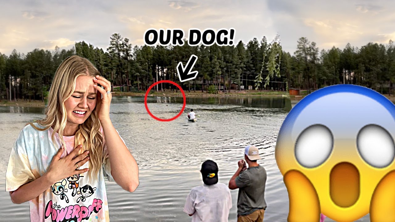 Saving Our Dog From Drowning In The Lake!