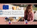 Schengen Student Visa Process and Requirements