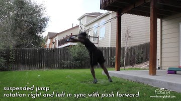 suspended jump rotation right and left in sync with push forward