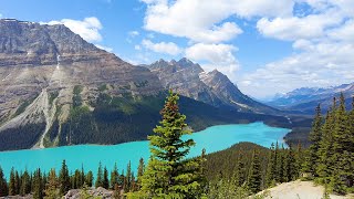 Peyto Lake: Ambience From The Rocky Mountains