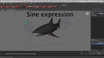 Shark rig