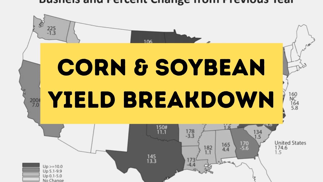 USDA Corn Soybean Yield Breakdown YouTube Usda Corn Soybean Yield Breakdown Youtube