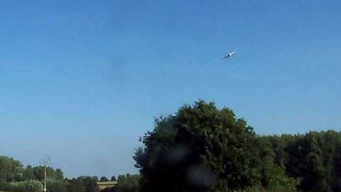 Acromaster Multiplex