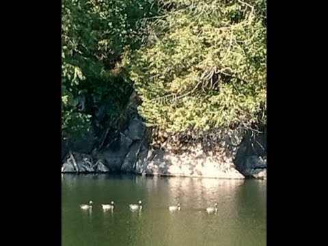 Canadian Radio Sanctuary: Rocks - a Slideshow Tour of all kinds of big ...