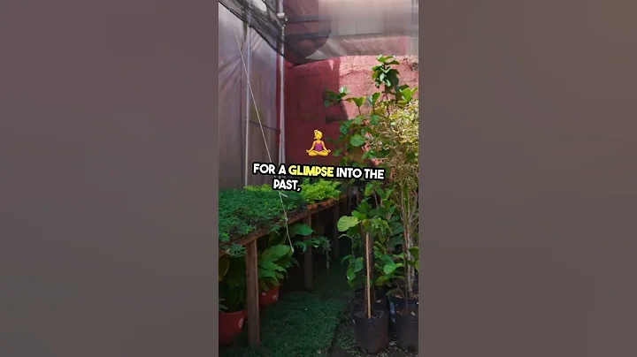 Top 10 Must-See Attractions in Marrakech: A Complete Travel Guide