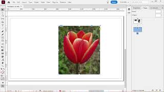 Adobe InDesign Review Part 2