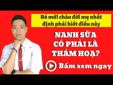 Nanh sữa là