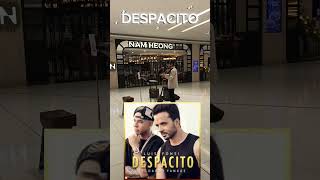 Luis Fonsi- Despacito Violin Cover #despacitoluisfonsi #luisfonsidespacito #violincover