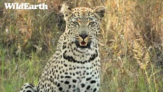 SafariLIVE Sunrise - 30 May 2024