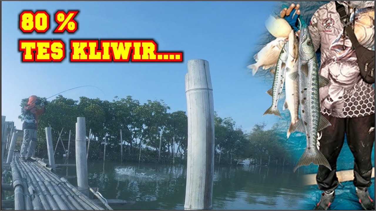 awalnya mancing rucah dapatnya malah baracuda babon