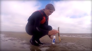 How to Catch a Razor Fish with Carla and some Salt