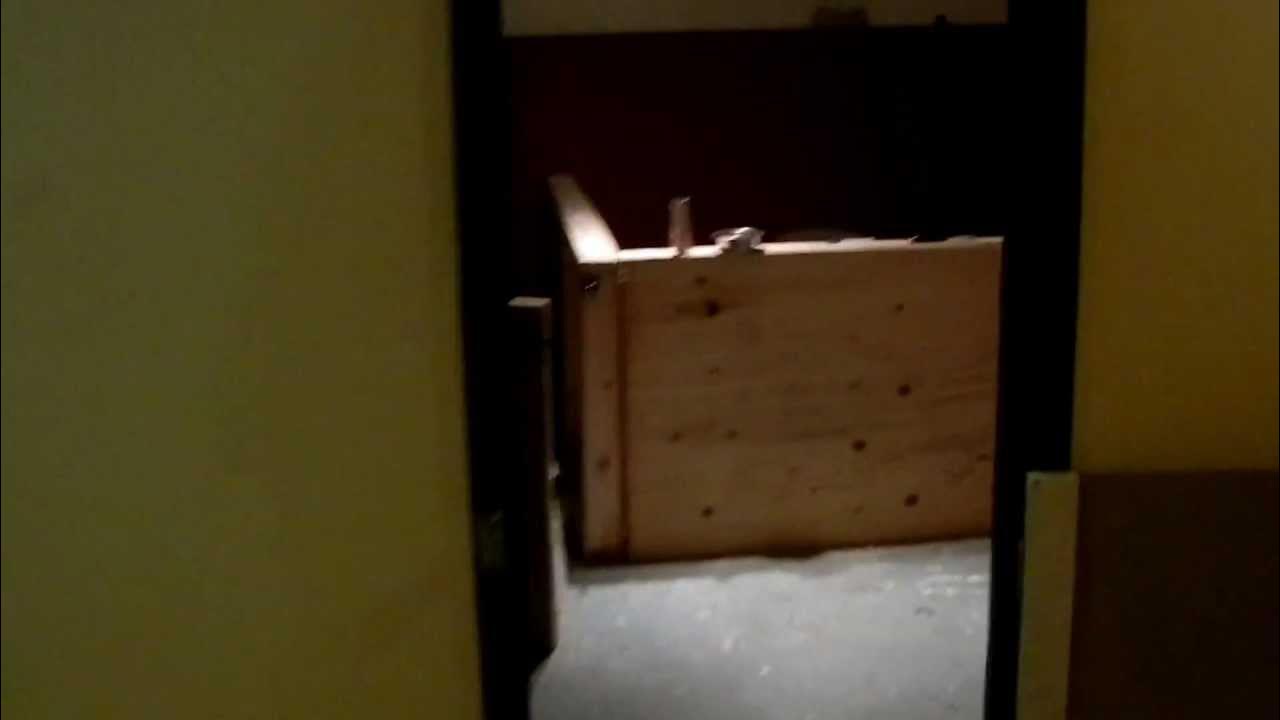 Ferret rooms in our home. YouTube