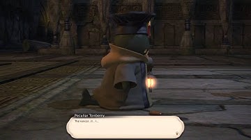 Final Fantasy XIV: A Realm Reborn - The Beast Within