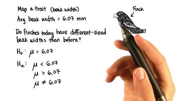 Finches - Intro to Inferential Statistics